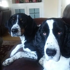 Meet your Posher, Barbara